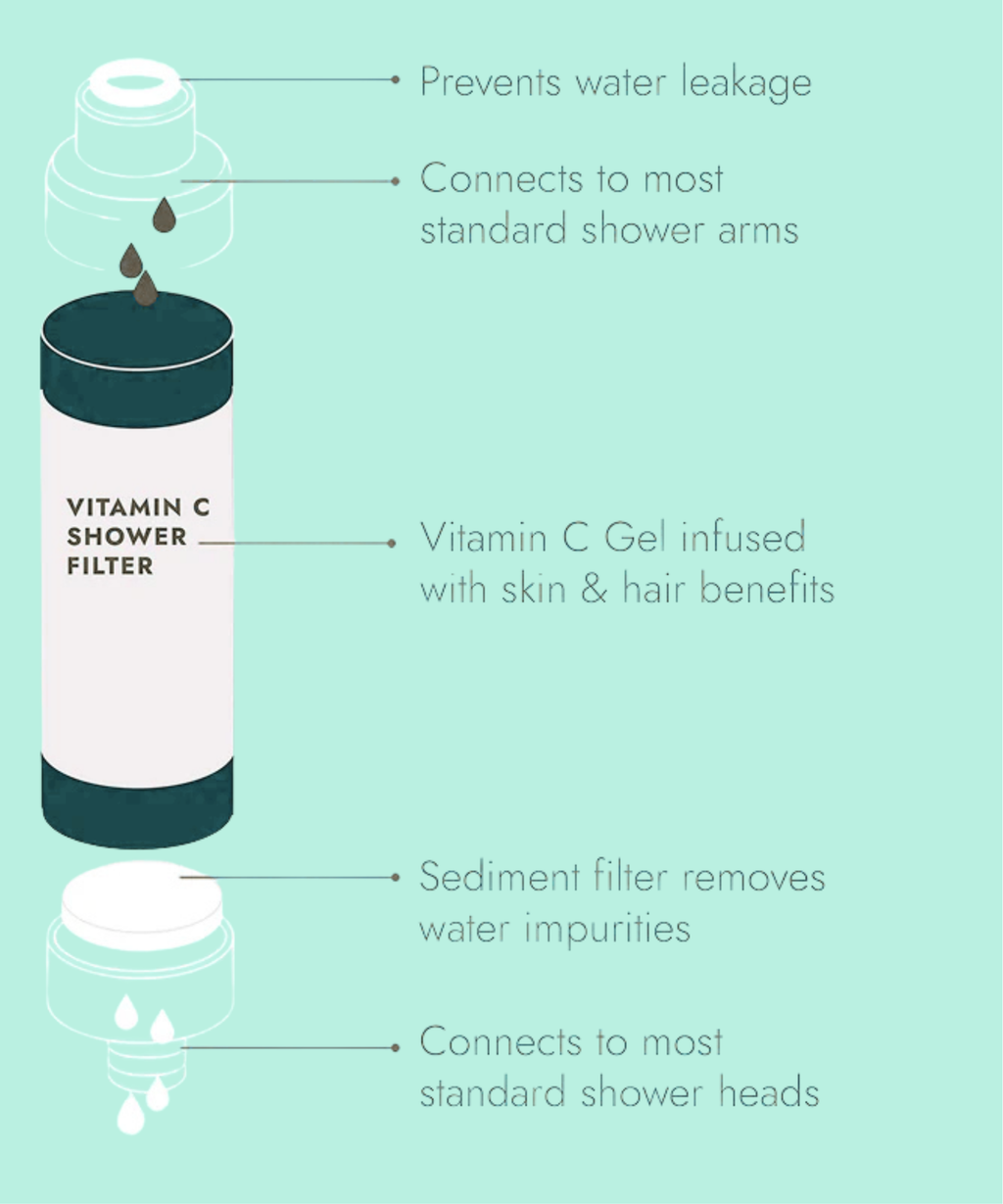 Bloom Honey Value Kit