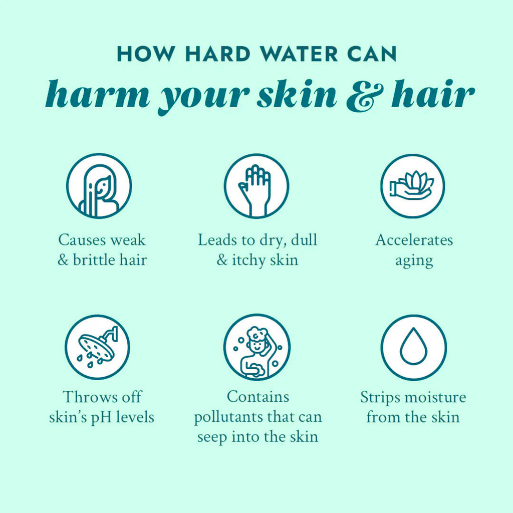 Lavender Vitamin C Filter