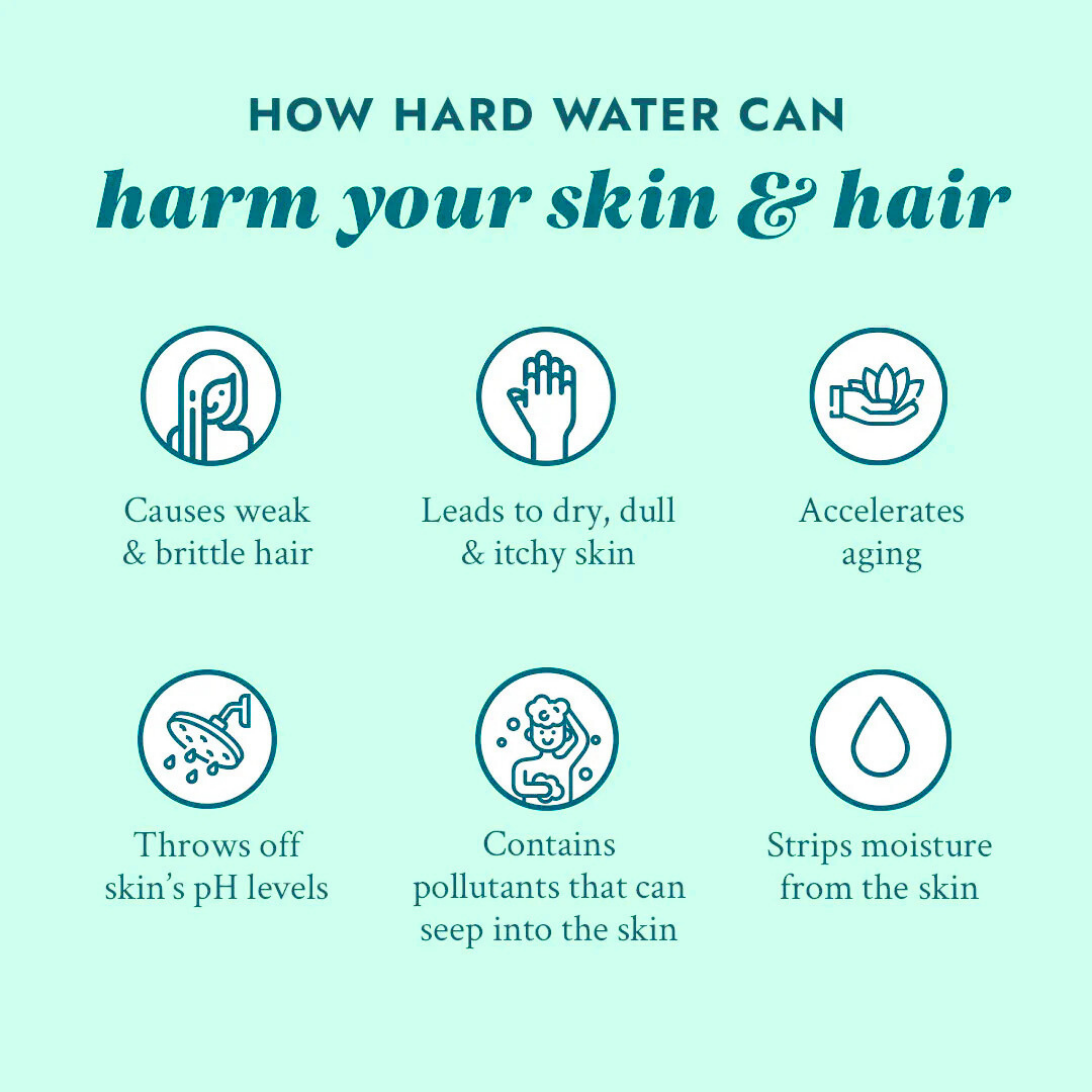 Floral & Fruity Collection