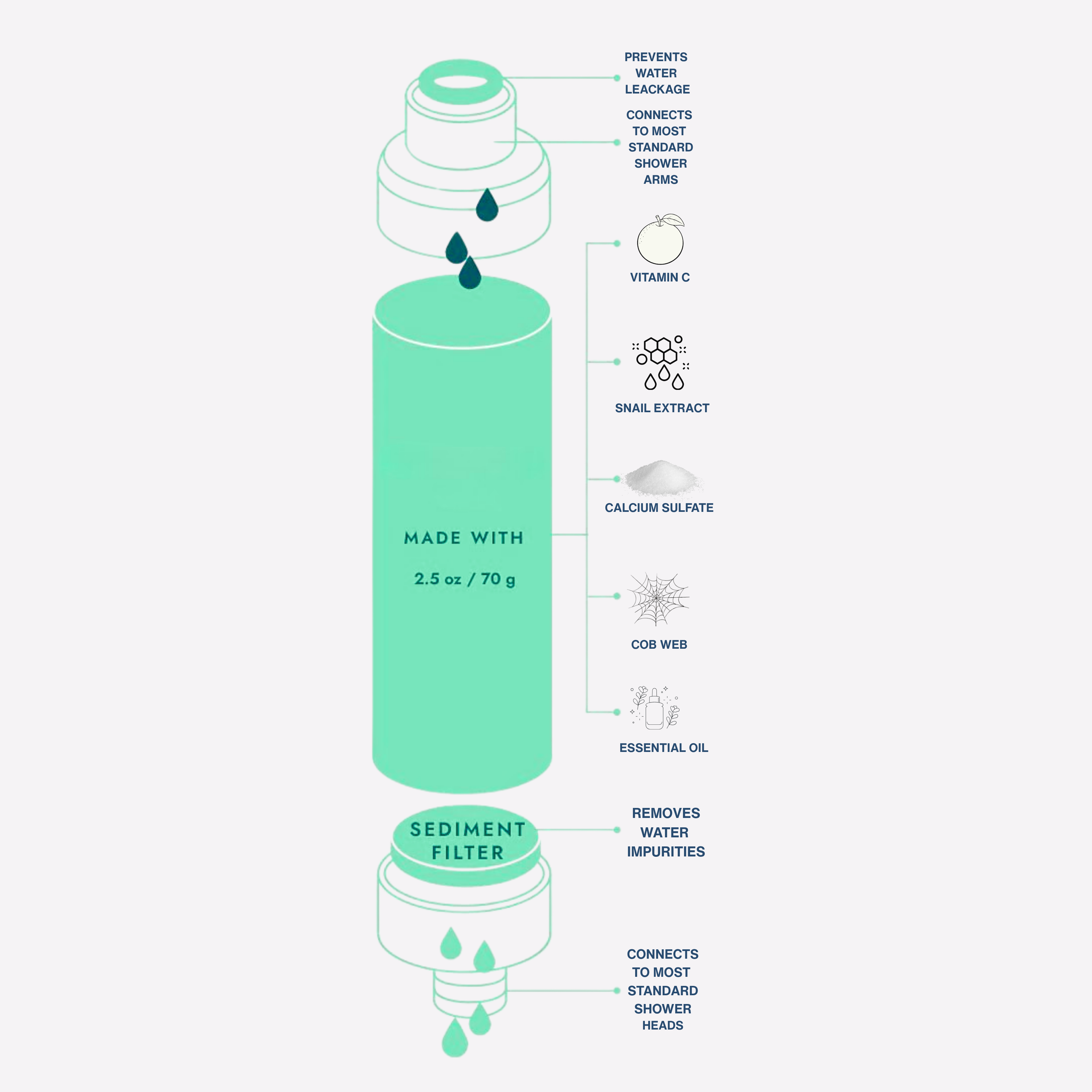 Floral & Fruity Collection